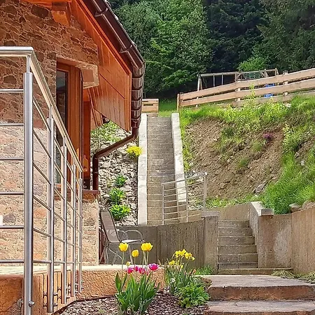 Cozy In With Sauna Prázdninový dům Zabnica